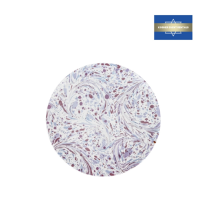 MJ Purple Splash Dinner Plate