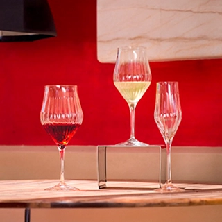 Timeless Tulip Collections