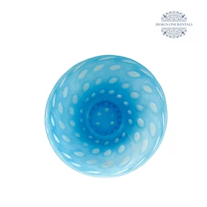 Blue Circle Frost China Plate