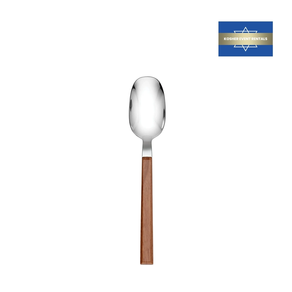 Teal Light Wood spoon