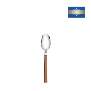 Teal Light Wood spoon
