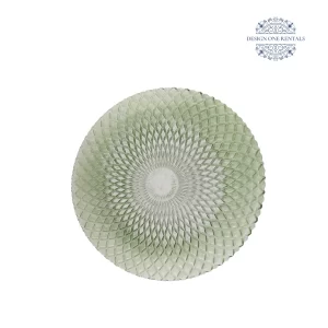 peacock verde 10inch china plate