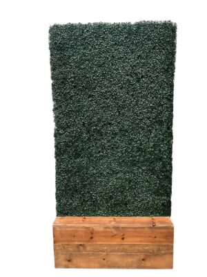 Green Hedge Wall